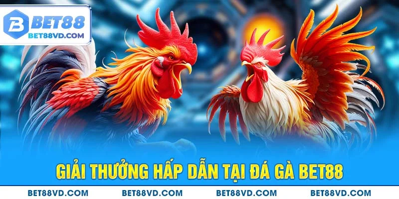 Giải thưởng hấp dẫn tại Đá Gà BET88