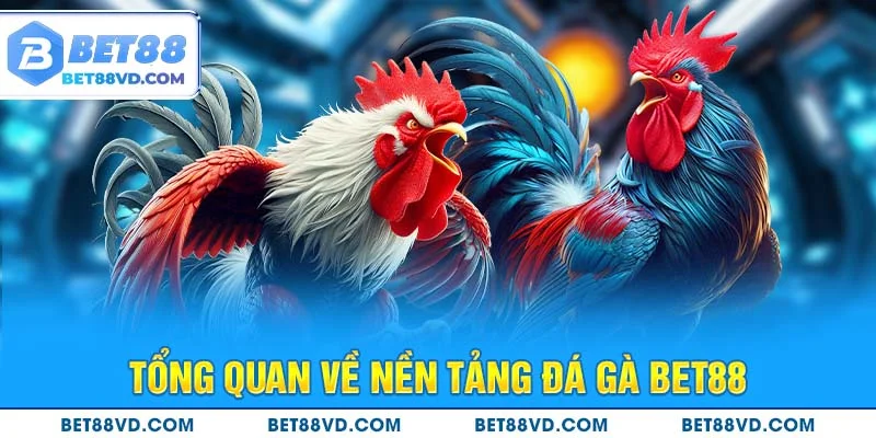 Tổng quan về nền tảng Đá Gà BET88